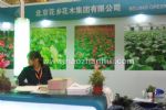 2019第21届中国国际花卉园艺展览会展会图片