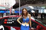 2008第十届北京国际汽车工业展览会展会图片