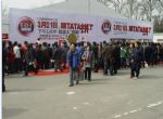 2013第十一届春季北京绿色家博会展会图片