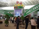 2010第二届中国（郑州）绿博会展会图片