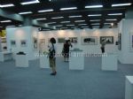 2015第十八届北京艺术博览会展会图片