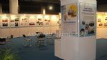 2010第九届中国国际啤酒、饮料制造技术及设备展览会