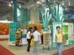 2013第十三届广州木工机械及配件展览会展会图片