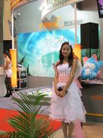 2012第十届中国国际网络文化博览会展会图片