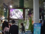 第六届中国国际网络文化博览会展会图片