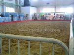 2012第六届中国国际马业马术展览会展会图片
