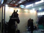 2012第六届中国国际马业马术展览会展会图片