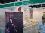 2016第十届中国国际马业马术展览会展台照片