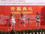 2012第十届中国（北京）国际LED展览会开幕式