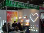 2010第二届中国（北京）国际路灯、庭院灯暨户外照明展览会展台照片