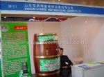 2010中国国际服务贸易博览会展台照片