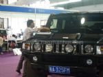2010华南国际汽车改装博览会展会图片