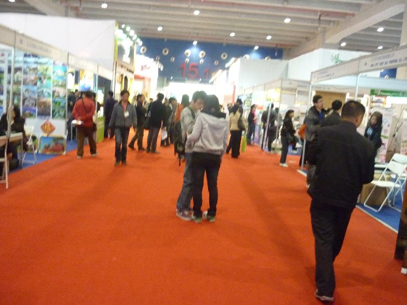 2010广州国际古典家具展览会观众入口