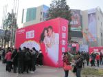 2011冬季中国（上海）国际婚博会观众入口