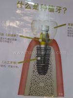 2011北京国际口腔护理及齿科器材展览订货会北京国际口腔设备器材暨口腔护理展览订货会