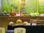2009第五届OCEX有机食品和绿色食品博览会展会图片