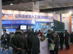 2016第八届中国（北京）国际清洁能源博览会展台照片