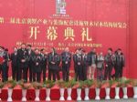 2011中国北京别墅与装饰配套设施展览会开幕式