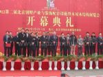 2016第六届中国国际别墅产业与装饰配套设施展览会开幕式