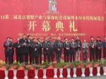 2012第二届中国国际别墅产业与装饰配套设施展览会开幕式