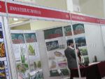 2012年第22届中国国际游乐设施设备博览会展台照片