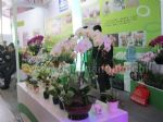 2024第二十六届中国国际花卉园艺展览会展会图片