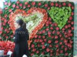2012第十四届中国国际花卉园艺展览会