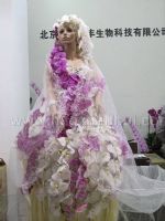 （取消）2022第24届中国国际花卉园艺展览会展会图片