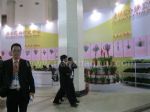 第十二届中国国际花卉园艺展览会展台照片