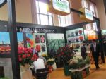 2015第十七届中国国际花卉园艺展览会展台照片