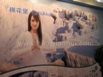 2017中国出境旅游交易会展会图片